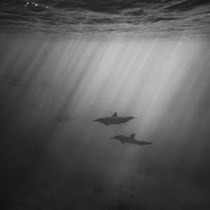 免费开户籍网站大头照
